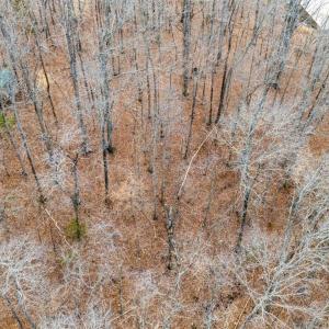 Photo #36 of 8 Cottage Charm, Goode, VA 8.7 acres