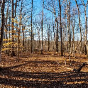 Photo #54 of 8 Cottage Charm, Goode, VA 8.7 acres