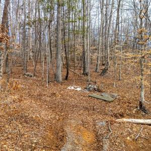 Photo #39 of 8 Cottage Charm, Goode, VA 8.7 acres