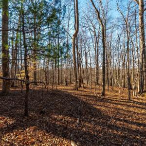 Photo #50 of 8 Cottage Charm, Goode, VA 8.7 acres