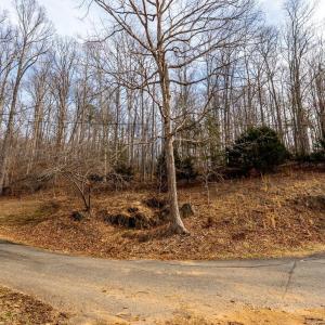 Photo #10 of 8 Cottage Charm, Goode, VA 8.7 acres