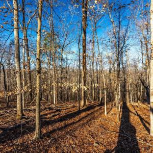 Photo #48 of 8 Cottage Charm, Goode, VA 8.7 acres