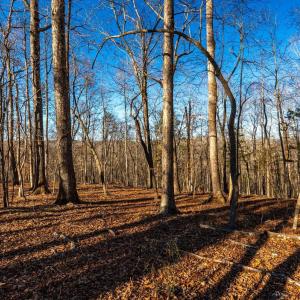 Photo #52 of 8 Cottage Charm, Goode, VA 8.7 acres