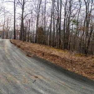 Photo #11 of 8 Cottage Charm, Goode, VA 8.7 acres