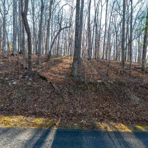 Photo #45 of 8 Cottage Charm, Goode, VA 8.7 acres