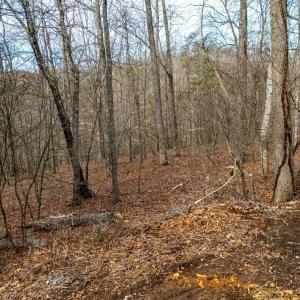 Photo #42 of 8 Cottage Charm, Goode, VA 8.7 acres
