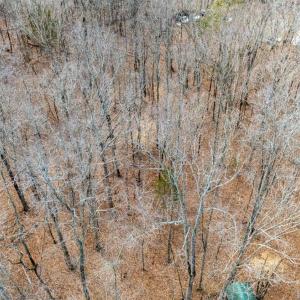 Photo #37 of 8 Cottage Charm, Goode, VA 8.7 acres