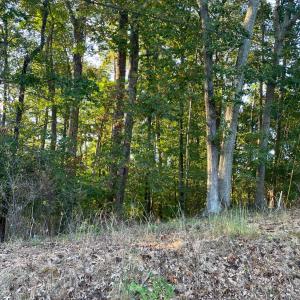 104 Arlington Heights Drive