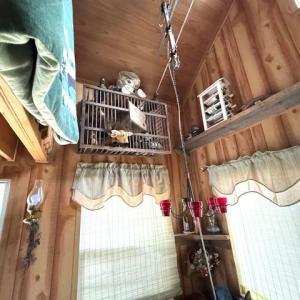 Photo #4 of 362 Cabin Lane, Gladstone, VA 12.2 acres