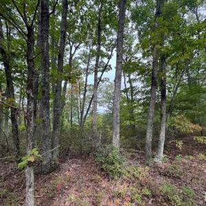 Photo #7 of 362 Cabin Lane, Gladstone, VA 12.2 acres