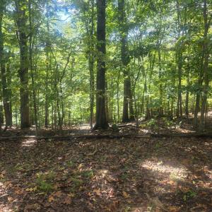 Photo #1 of Audubon Drive, Lynchburg, VA 1.0 acres
