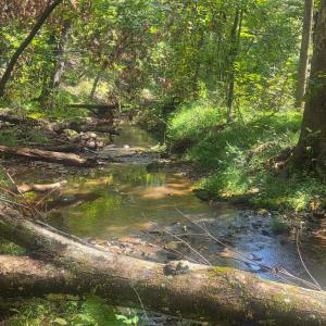 Photo #4 of Audubon Drive, Lynchburg, VA 1.0 acres