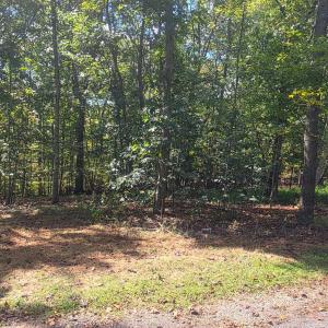 Photo #2 of Audubon Drive, Lynchburg, VA 1.0 acres