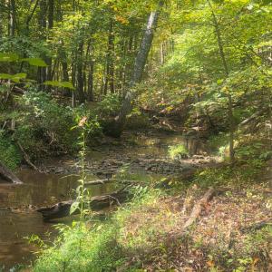 Photo #3 of Audubon Drive, Lynchburg, VA 1.0 acres