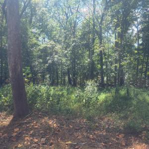 Photo #5 of Audubon Drive, Lynchburg, VA 1.0 acres