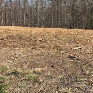 Photo #5 of Milnwood Road, Farmville, VA 1.4 acres