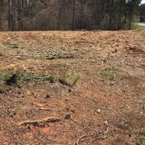 Photo #3 of Milnwood Road, Farmville, VA 1.4 acres