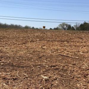 Photo #2 of Milnwood Road, Farmville, VA 1.4 acres