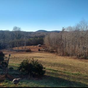 Photo #24 of 2417 Hunting Lodge Road, Schuyler, VA 66.7 acres