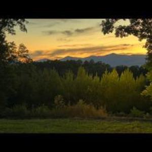 Photo #7 of WEST PERCH RD, Monroe, VA 21.0 acres