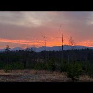 Photo #2 of WEST PERCH RD, Monroe, VA 21.0 acres