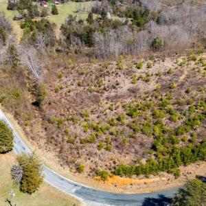 Photo #19 of Norwood Road, Gladstone, VA 26.8 acres