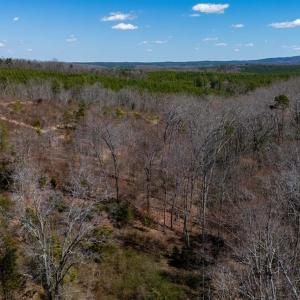 Photo #26 of Norwood Road, Gladstone, VA 26.8 acres