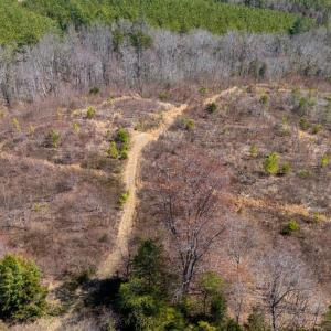 Photo #28 of Norwood Road, Gladstone, VA 26.8 acres