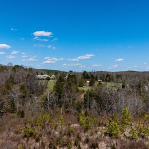 Photo #23 of Norwood Road, Gladstone, VA 26.8 acres