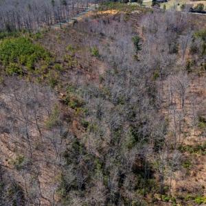 Photo #16 of Norwood Road, Gladstone, VA 26.8 acres
