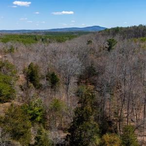 Photo #25 of Norwood Road, Gladstone, VA 26.8 acres