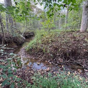 Photo #7 of Mountain Ridge Lane, Shipman, VA 9.3 acres