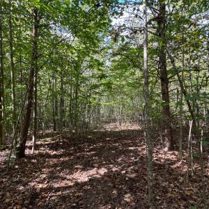 Photo #4 of Mountain Ridge Lane, Shipman, VA 9.3 acres