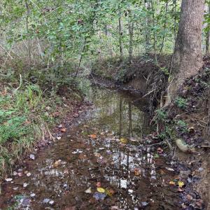 Photo #1 of Mountain Ridge Lane, Shipman, VA 9.3 acres