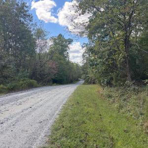 Photo #2 of Mountain Ridge Lane, Shipman, VA 9.3 acres