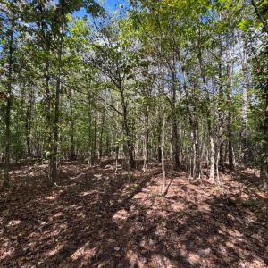 Photo #3 of Mountain Ridge Lane, Shipman, VA 9.3 acres