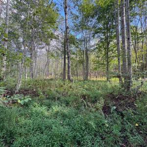 Photo #8 of Mountain Ridge Lane, Shipman, VA 9.3 acres