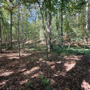 Photo #18 of Lot 25 Cutlass Road, Moneta, VA 0.5 acres