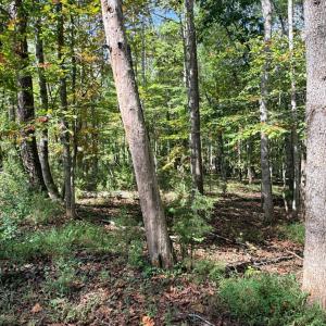 Photo #9 of Lot 25 Cutlass Road, Moneta, VA 0.5 acres