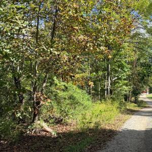 Photo #15 of Lot 25 Cutlass Road, Moneta, VA 0.5 acres