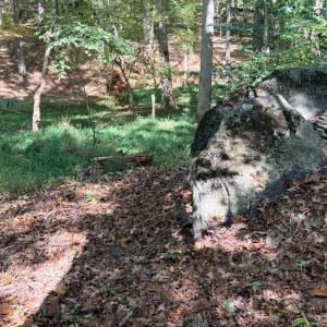 Photo #19 of Lot 25 Cutlass Road, Moneta, VA 0.5 acres