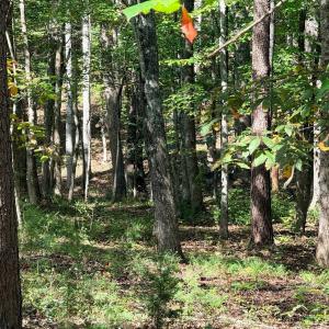 Photo #10 of Lot 25 Cutlass Road, Moneta, VA 0.5 acres