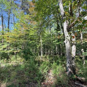 Photo #13 of Lot 25 Cutlass Road, Moneta, VA 0.5 acres