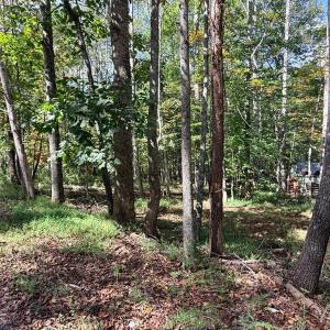 Photo #8 of Lot 25 Cutlass Road, Moneta, VA 0.5 acres