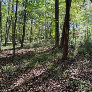 Photo #20 of Lot 25 Cutlass Road, Moneta, VA 0.5 acres