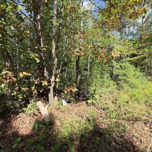 Photo #5 of Lot 25 Cutlass Road, Moneta, VA 0.5 acres
