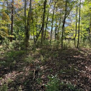 Photo #21 of Lot 25 Cutlass Road, Moneta, VA 0.5 acres