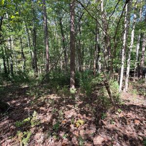 Photo #16 of Lot 25 Cutlass Road, Moneta, VA 0.5 acres