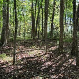 Photo #1 of Lot 25 Cutlass Road, Moneta, VA 0.5 acres