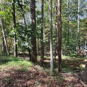 Photo #7 of Lot 25 Cutlass Road, Moneta, VA 0.5 acres